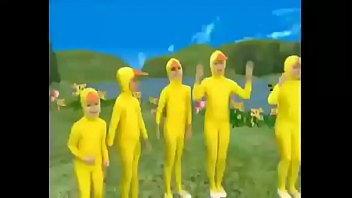 Funny video duck