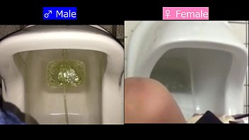 Comparison between female pissing and male pissing - 2